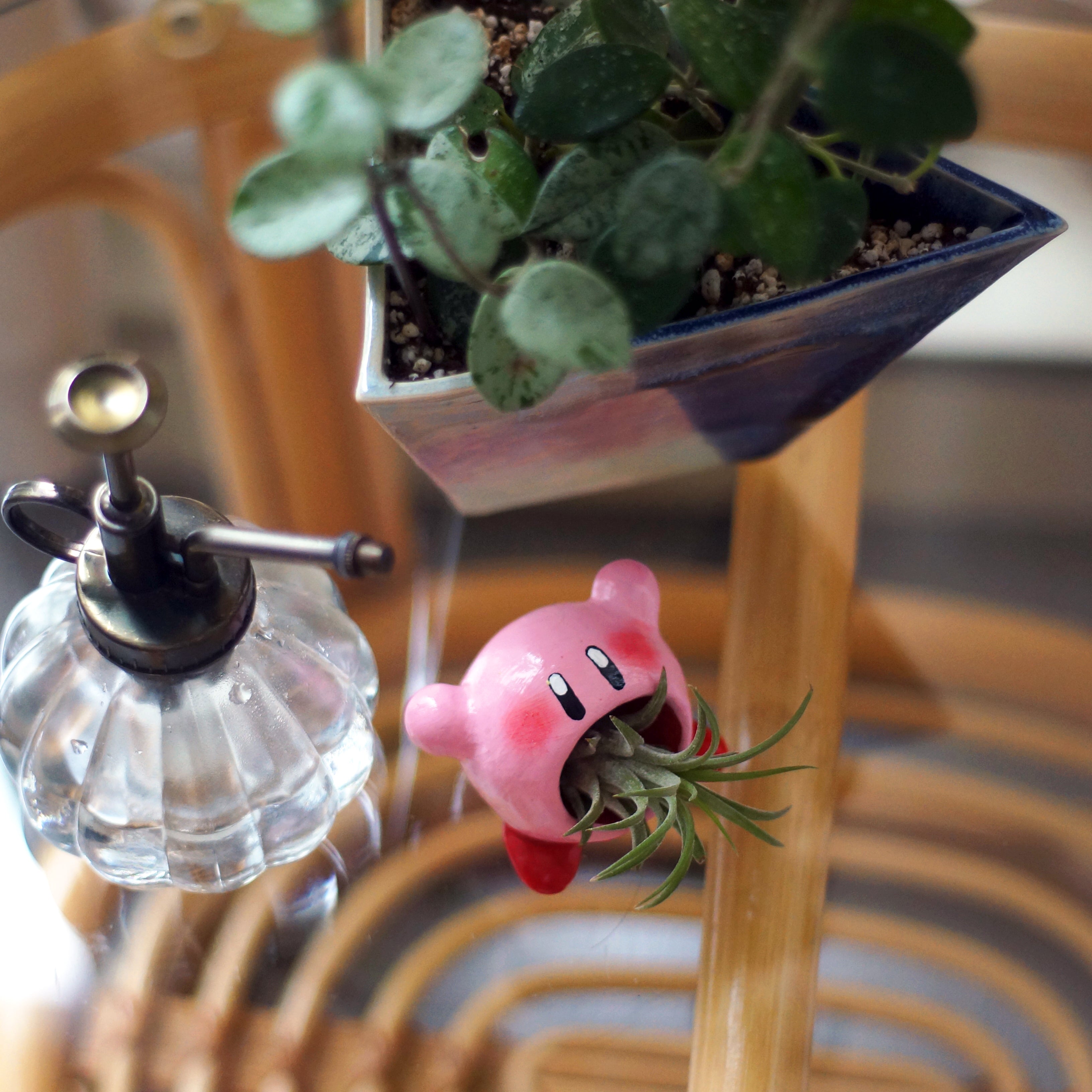 Hungry Pink Planter