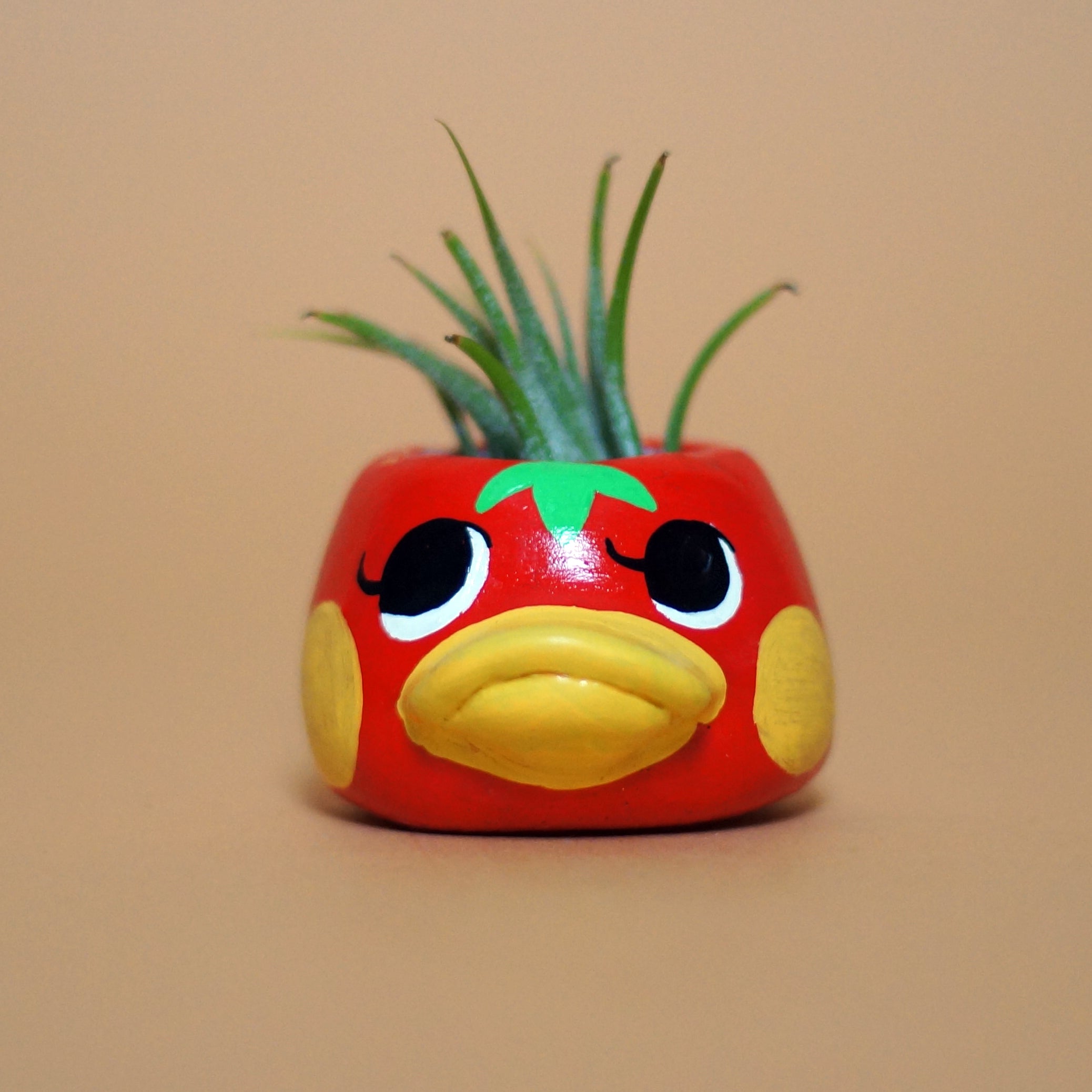 Tomato Bird Mini Planter