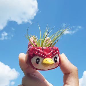Starry-eyed Owl Mini Planter