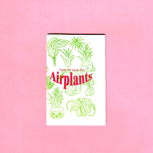 Air plant Zine